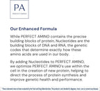 BodyHealth PerfectAmino - BCAA y EAA en Polvo - Sabor Lima Limón - 20 Servicios
