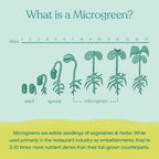 True Grace Broccoli Microgreens - Polvo Superalimento Diario - 0.4 oz (11g) - 30 Servicios