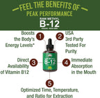 Raw Methyl B12 Liquid Drops - Gotas Sublinguales de Metilcobalamina - Suplemento Líquido Vegano de Vitamina B12 de Alta Biodisponibilidad