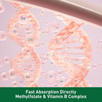 Simlike Active Folate (5-MTHF) con Complejo B, B12, B2 y B6 - Apoya la metilación y niveles saludables de homocisteína - Sin gluten, lácteos ni soja - 60 cápsulas de 5mg de L-metilfolato