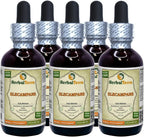 Elecampane (Inula helenium) Glicerita - Extracto Líquido Sin Alcohol de Raíz Seca 60 ml