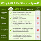 Organic Veda Amla + Cápsulas - Extracto Concentrado de Amla 20X con Vitamina C Natural