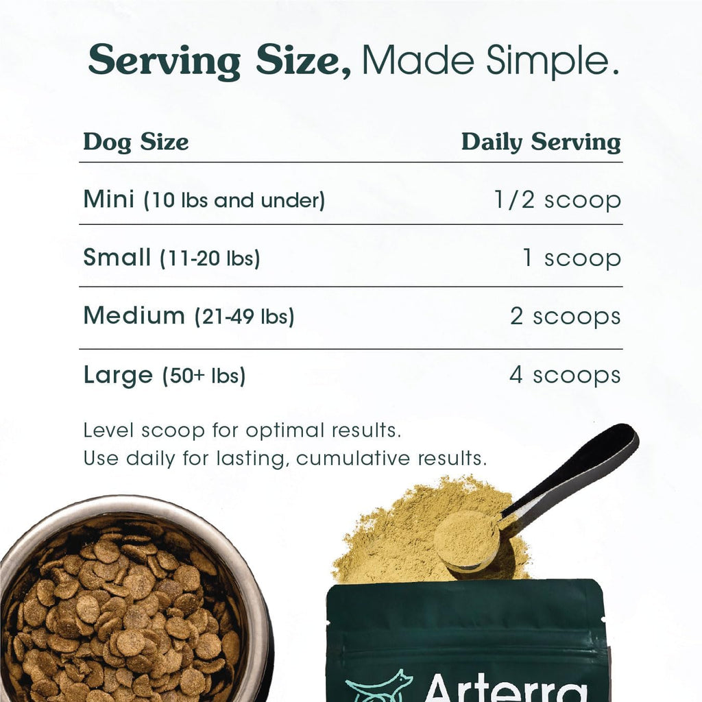 Complemento Alimenticio en Polvo para Perros Adultos – Longevidad Diaria – 46 Ingredientes para Salud Intestinal, Inmune y Cognitiva – 30 Dosis