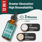 Berberine HCl 3000 mg - Berberina Liposomal con Cúrcuma, Canela de Ceilán y 12 Ingredientes Naturales - 118 ml
