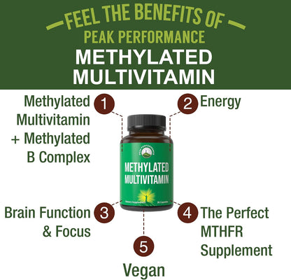 Peak Performance Complejo B Metilado con TMG – Apoyo al metabolismo energético : las vitaminas B1, B2, B6 y B12 – Image 2