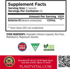 Plantvital Berberina 1200mg (120 Cápsulas) - Complemento Puro