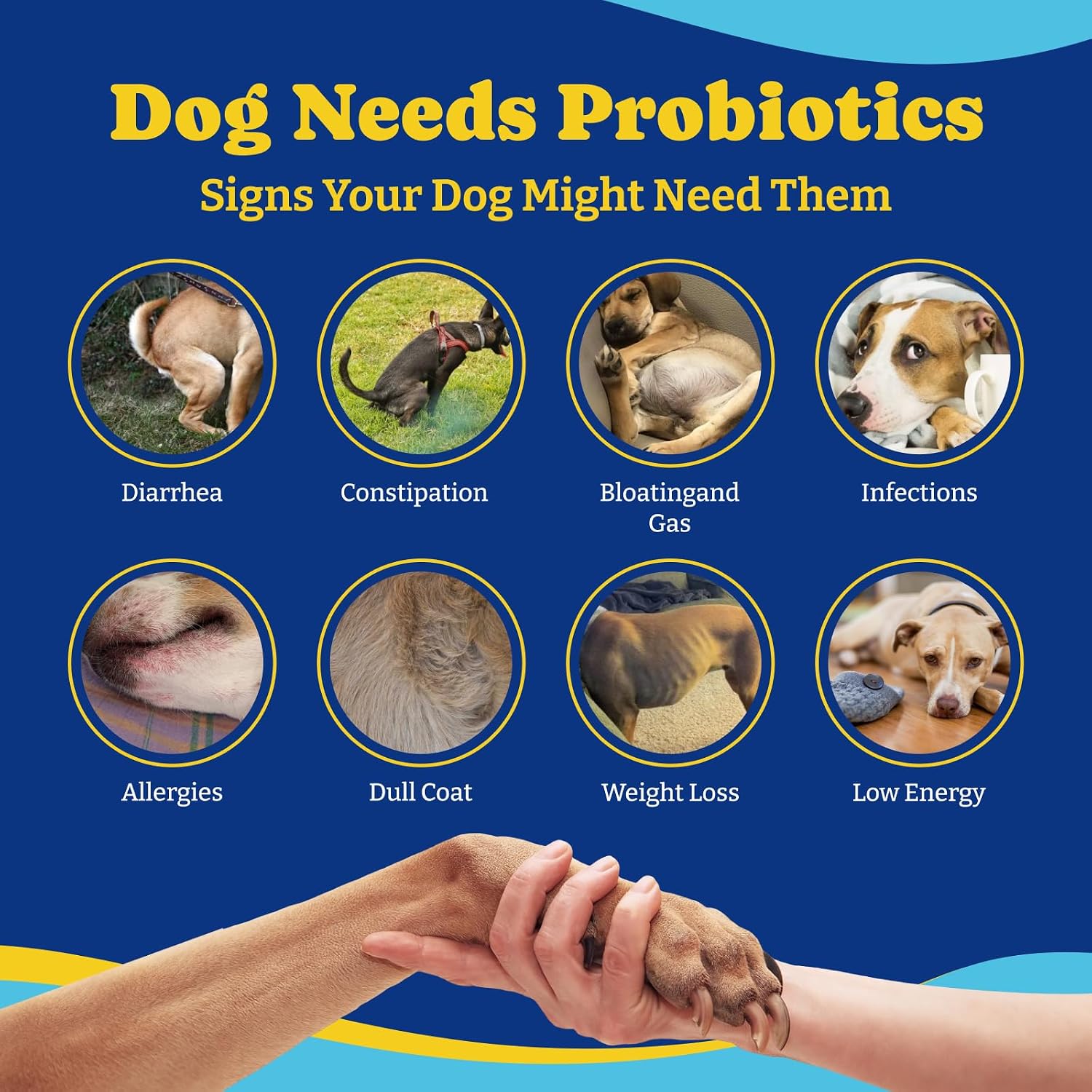 YoYoBay Probiotics for Dogs - 6 Billion CFUs, Dog Probiotics with Prebiotics & Digestive Enzymes for Gut, Immune & Skin Health - Turkey & Pumpkin Flavor, 180 Soft Chews