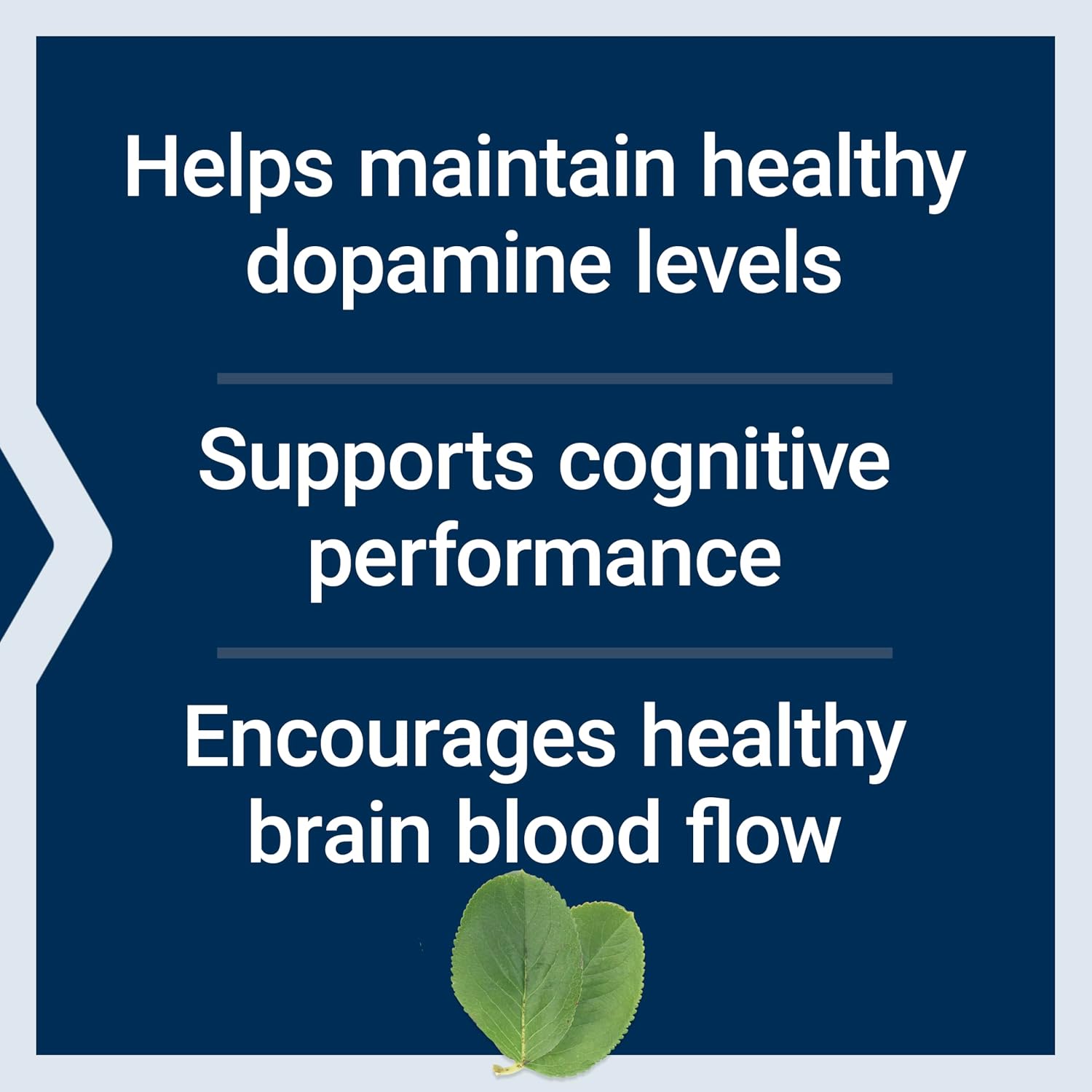 Life Extension Dopa-Mind - Suplemento para el apoyo de la dopamina, 60 comprimidos