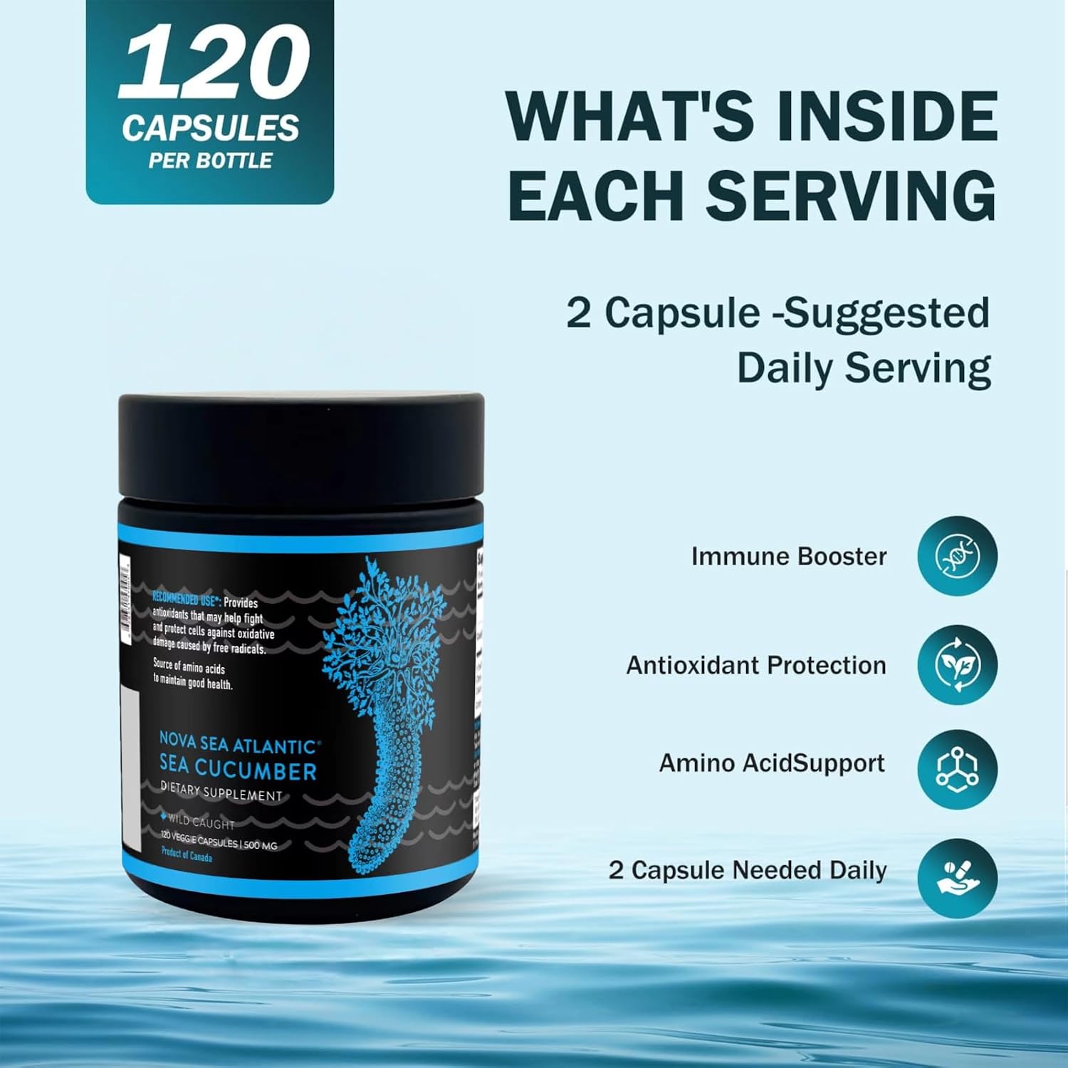 Suplemento de Pepino de Mar Silvestre con Vitaminas Fucosiladas y Minerales - 120 Cápsulas (3 Paquetes)