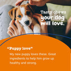 Zesty Paws Multivitamínico para Perros – 90 Comprimidos Masticables Sabor Pollo