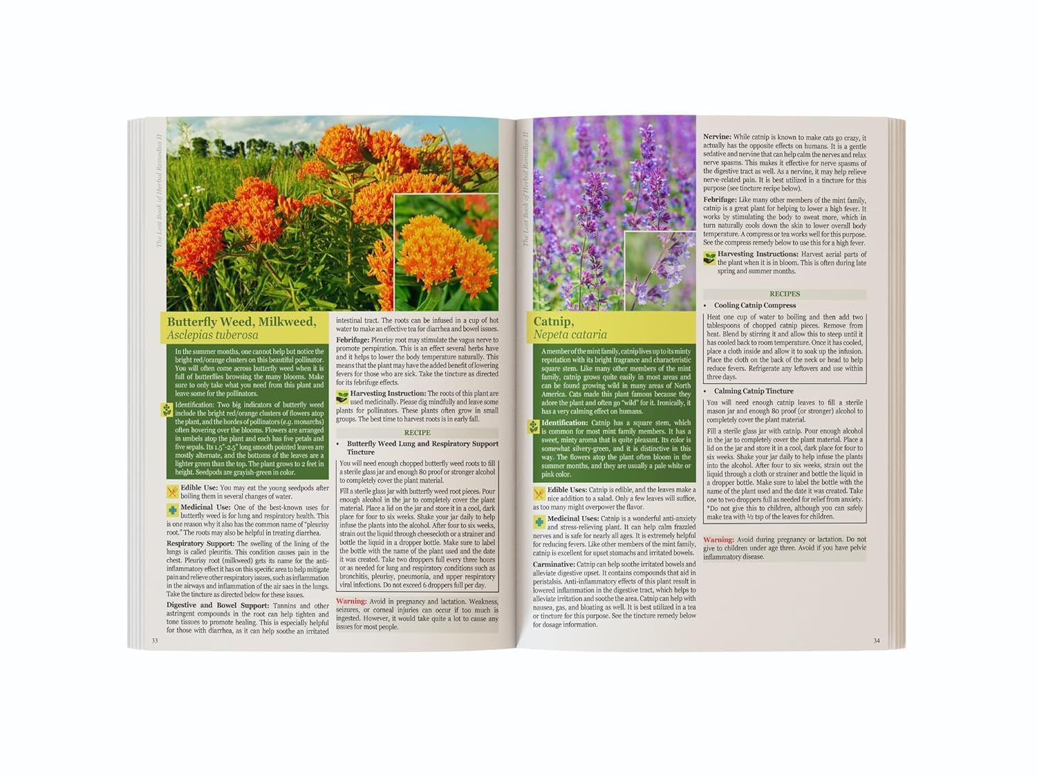 The Lost Book of Herbal Remedies II