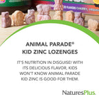 NaturesPlus Animal Parade KidZinc - 90 comprimidos masticables con sabor a mandarina (pack de 3) - Zinc quelado para niños