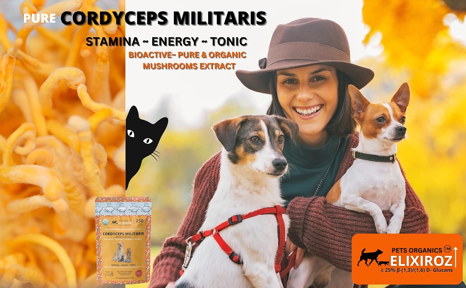 Extracto de Cordyceps para Perros y Gatos – 25%+ Beta Glucanos – Cuerpo Fructífero – 250 Dosis