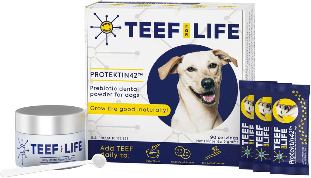 Protektin42 Recambio de Polvo Dental Prebiótico para Perros - 180 dosis (6 sobres)