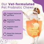 ZEBORA Probióticos para Perros, para la Salud Digestiva, con Calabaza, Enzimas Digestivas, Omega-3, Apoya la Salud Intestinal e Inmune, 120 Masticables Liofilizados