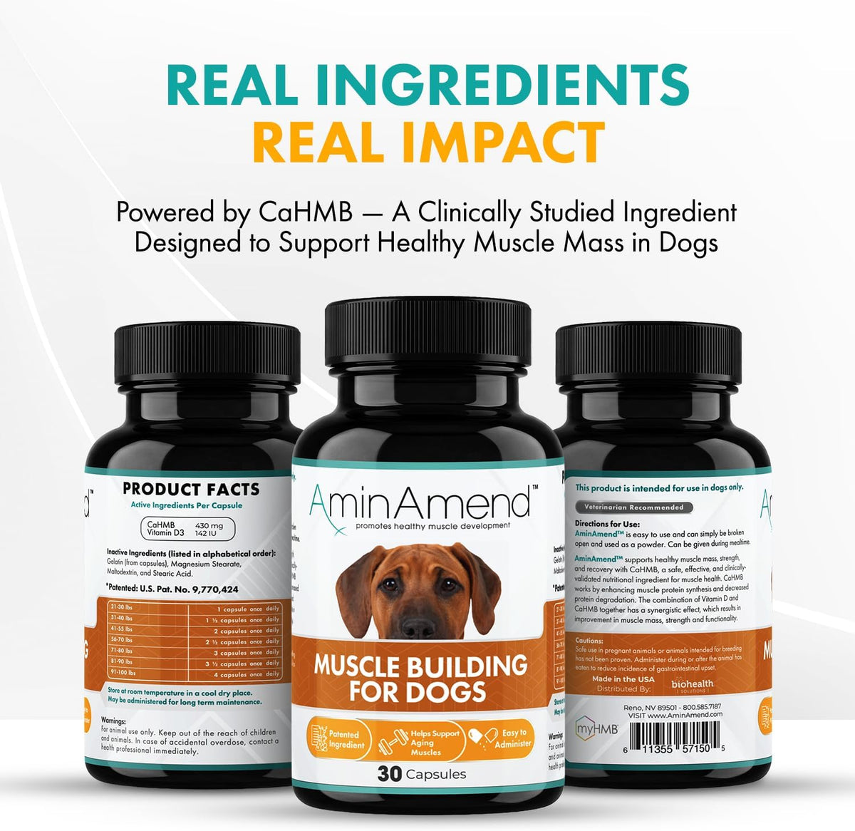 AminAmend Suplemento Muscular para Perros – Mantener la masa muscular en perros mayores o activos. – Image 5
