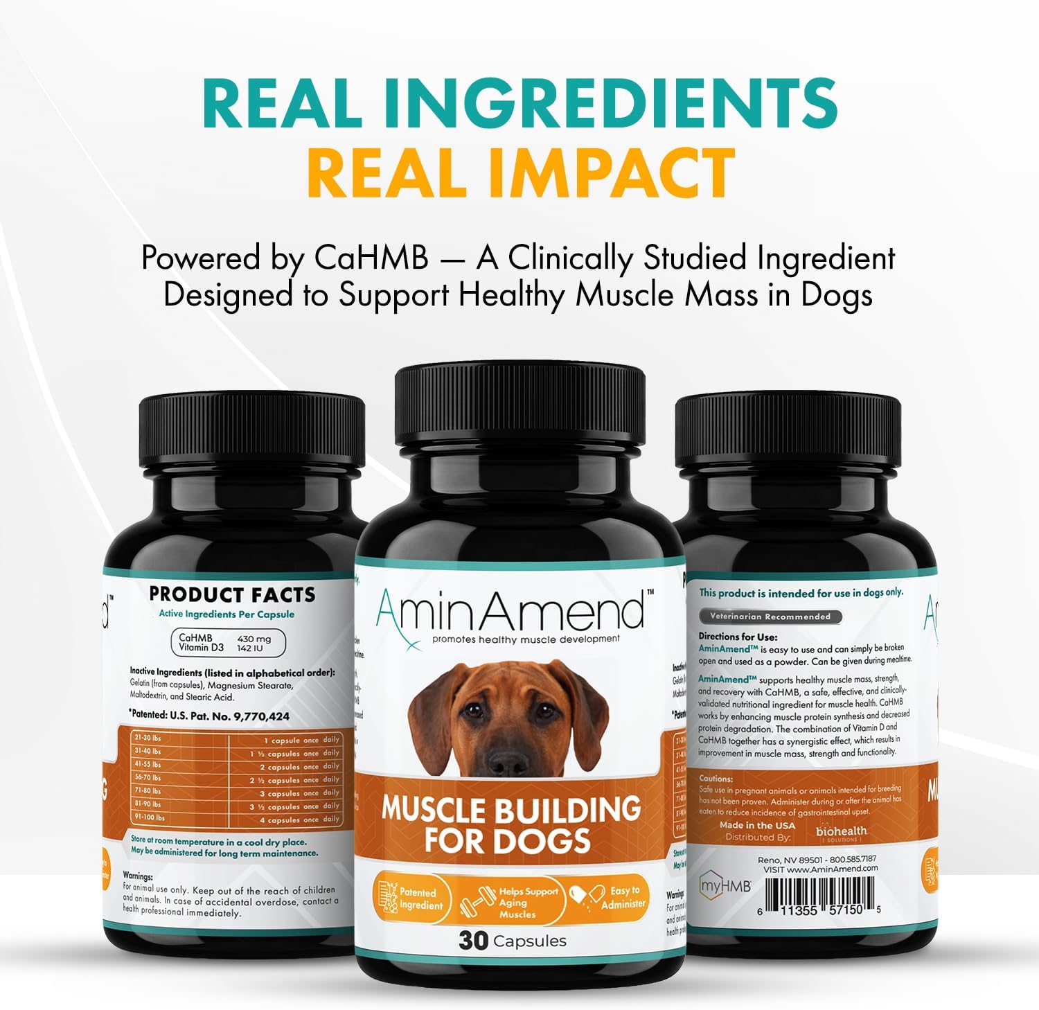 AminAmend Suplemento Muscular para Perros Grandes – CaHMB y Vitamina D3, 30 cápsulas