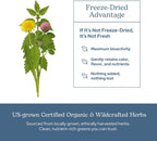 Eclectic Herb - Lymph & Blood Cleanse Cápsulas | Apoyo Linfático y Circulatorio | 45 cápsulas (285 mg)