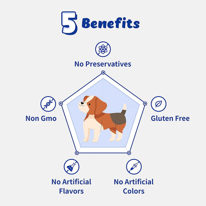 Respiratory Guardian para Perros - Apoyo Pulmonar, Nasal, Bronquial y Traqueal (135g) con Quercefit® y Probióticos – Image 6