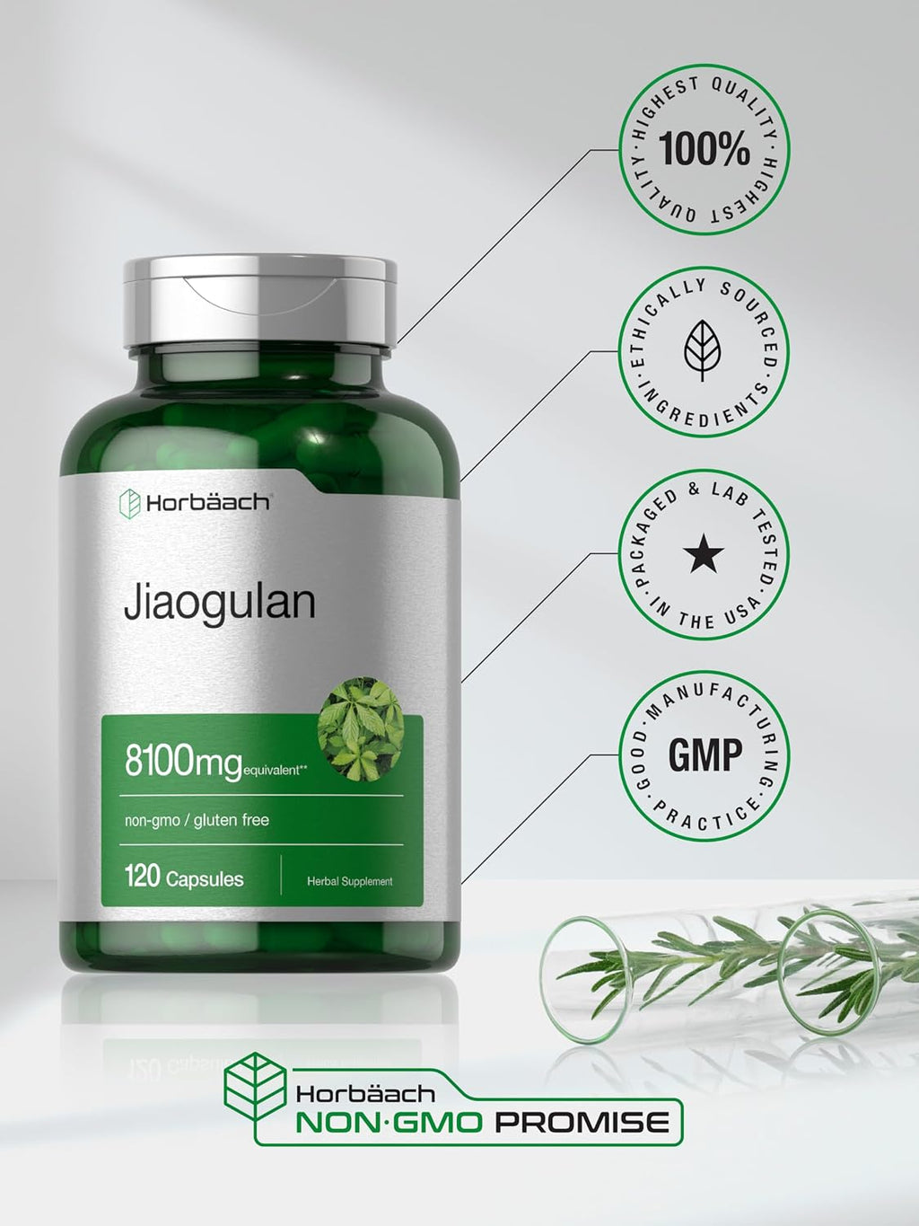 Horbäach Jiaogulan Cápsulas | 120 Unidades | Extracto de Gynostemma Pentaphyllum | Suplemento para la Vitalidad y Resistencia | No Transgénico, Sin Gluten