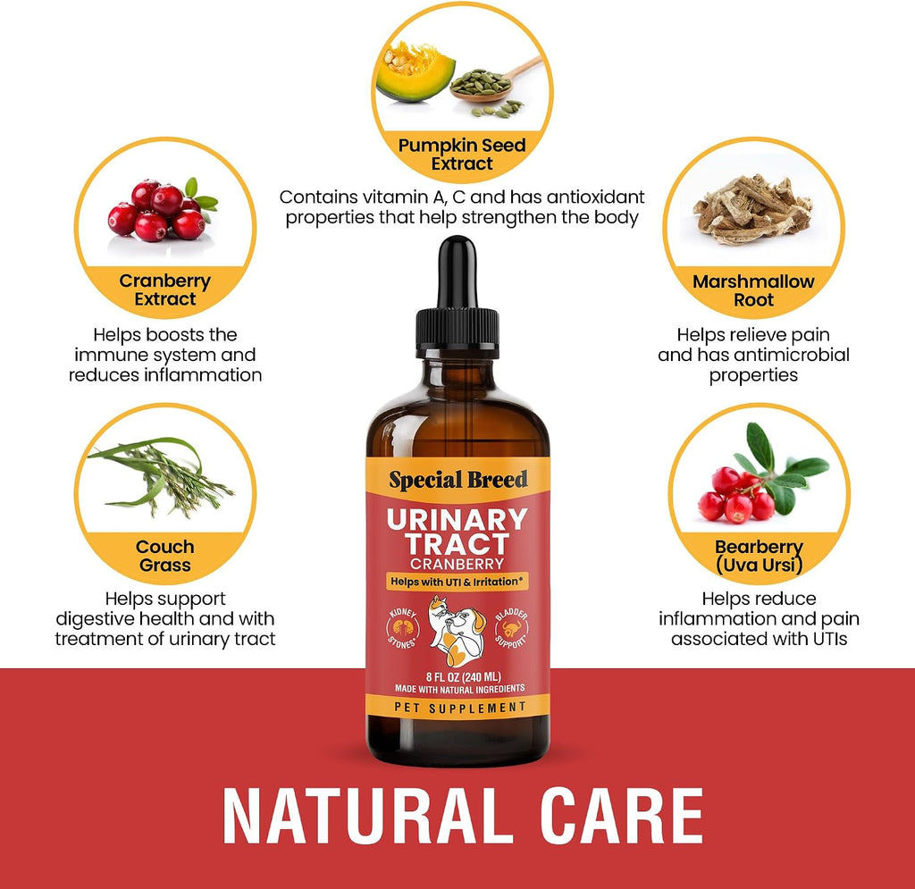 Tratamiento para Infecciones Urinarias en Perros y Gatos – Alivio Natural con Gotas de Arándano – Apoyo Renal y de Vejiga – Ayuda con Incontinencia, Micción Frecuente, Cálculos en la Vejiga – Gotas para el Cuidado Renal de Mascotas