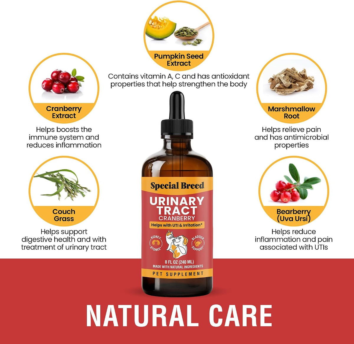 Tratamiento para Infecciones Urinarias en Perros y Gatos – Alivio Natural con Gotas de Arándano – Apoyo Renal y de Vejiga – – Image 2