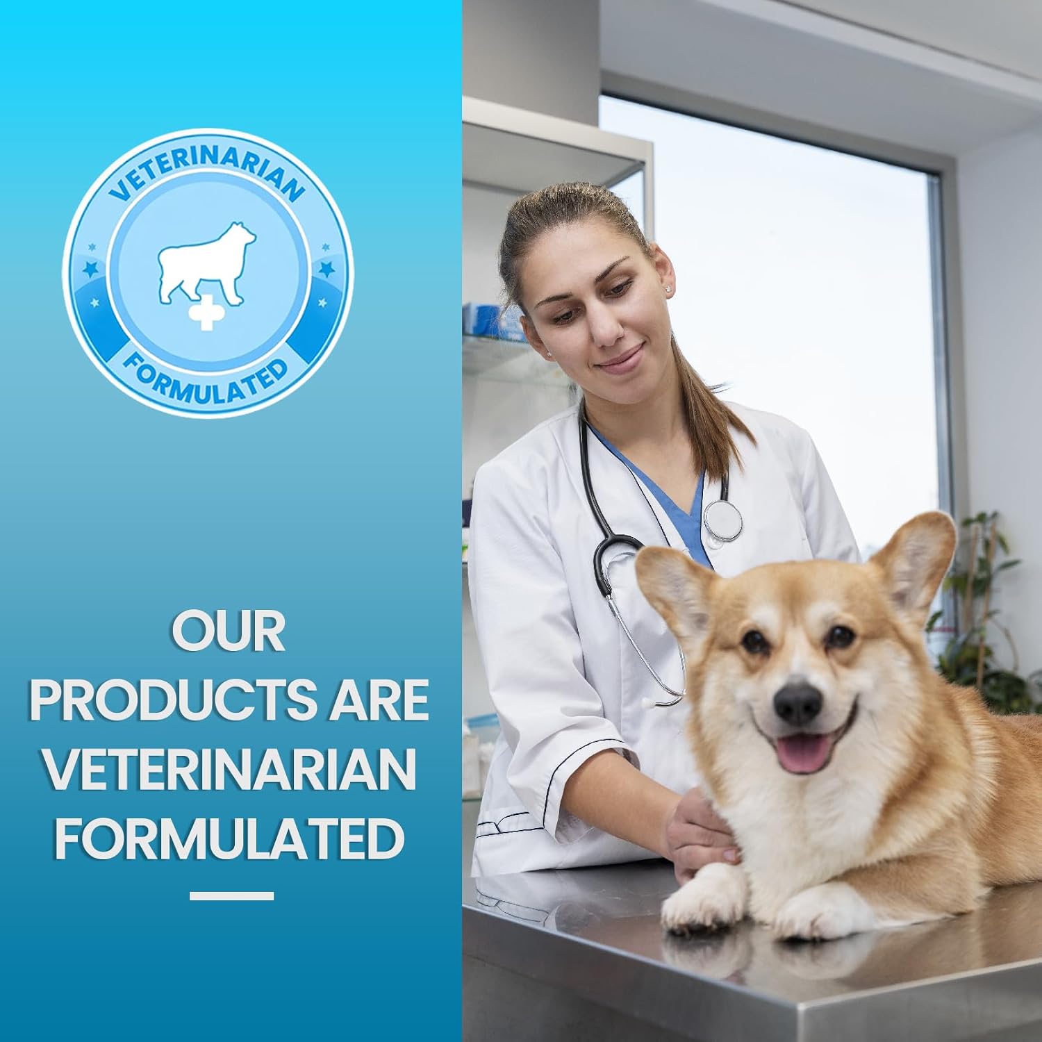 Replenish Urinary Tract Chews - Masticables para la salud urinaria de perros (60 unidades)