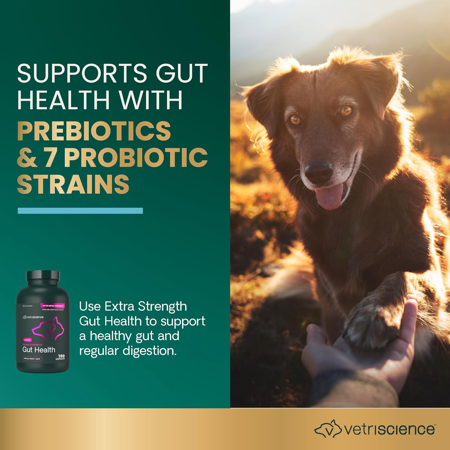 VetriScience Extra Strength Gut Health - Probiótico y Prebiótico para Perros y Gatos - 180 Cápsulas