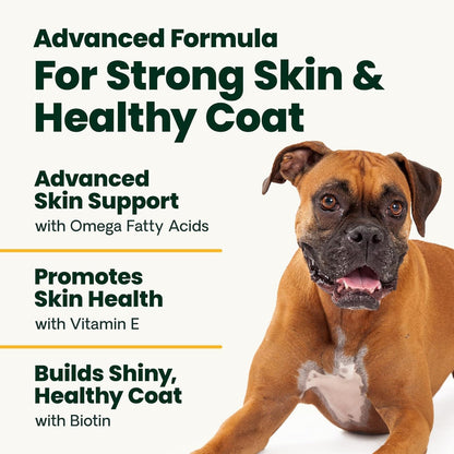 VetriScience Extra Strength Healthy Skin & – Salud cerebral: El DHA es un componente clave del tejido cerebral, – Image 4