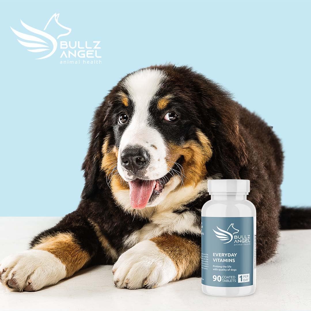 Everyday Vitamins for Dogs - Dog Use - Healthy Life - Essential Vitamins - Amino Acids - Natural Ingredients - Daily Use