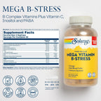 SOLARAY Mega Vitamin B-Stress - Complejo B de Liberación Prolongada con Vitamina B12, B6, Ácido Fólico, Vitamina C - Apoyo para el Estrés, Energía, Glóbulos Rojos, Sistema Inmunológico - Vegano, 276 Comprimidos