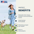 Protect - Probióticos para Perros - Formulado por Veterinarios - con Prebióticos Naturales y Antioxidantes - Desintoxicación y Salud Digestiva - Suministro para 30 Días para Perros Grandes