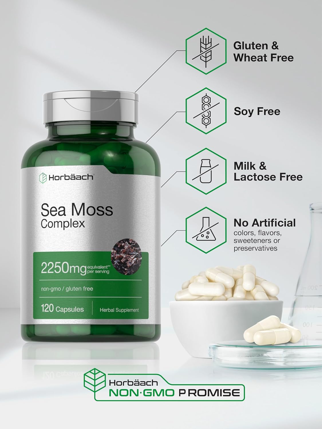 Horbäach Cápsulas de Musgo Marino - 120 Cápsulas - Complejo con Bladderwrack y Raíz de Bardana - Sin Gluten y No-GMO