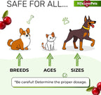 Suplemento Urinario para Perros y Gatos – Cuidado de Riñones y Vejiga con Arándano – 60 ml