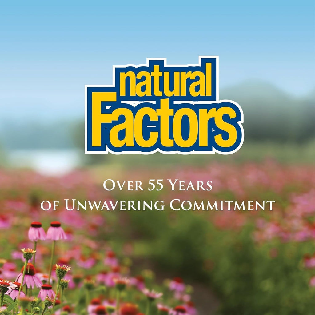 Natural Factors - Vitamina C 1000 mg, Liberación Prolongada, 90 Comprimidos