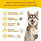 Probióticos Vet Strength para Perros - Alivio Digestivo e Inmunitario - Sabor Calabaza, 90 Masticables