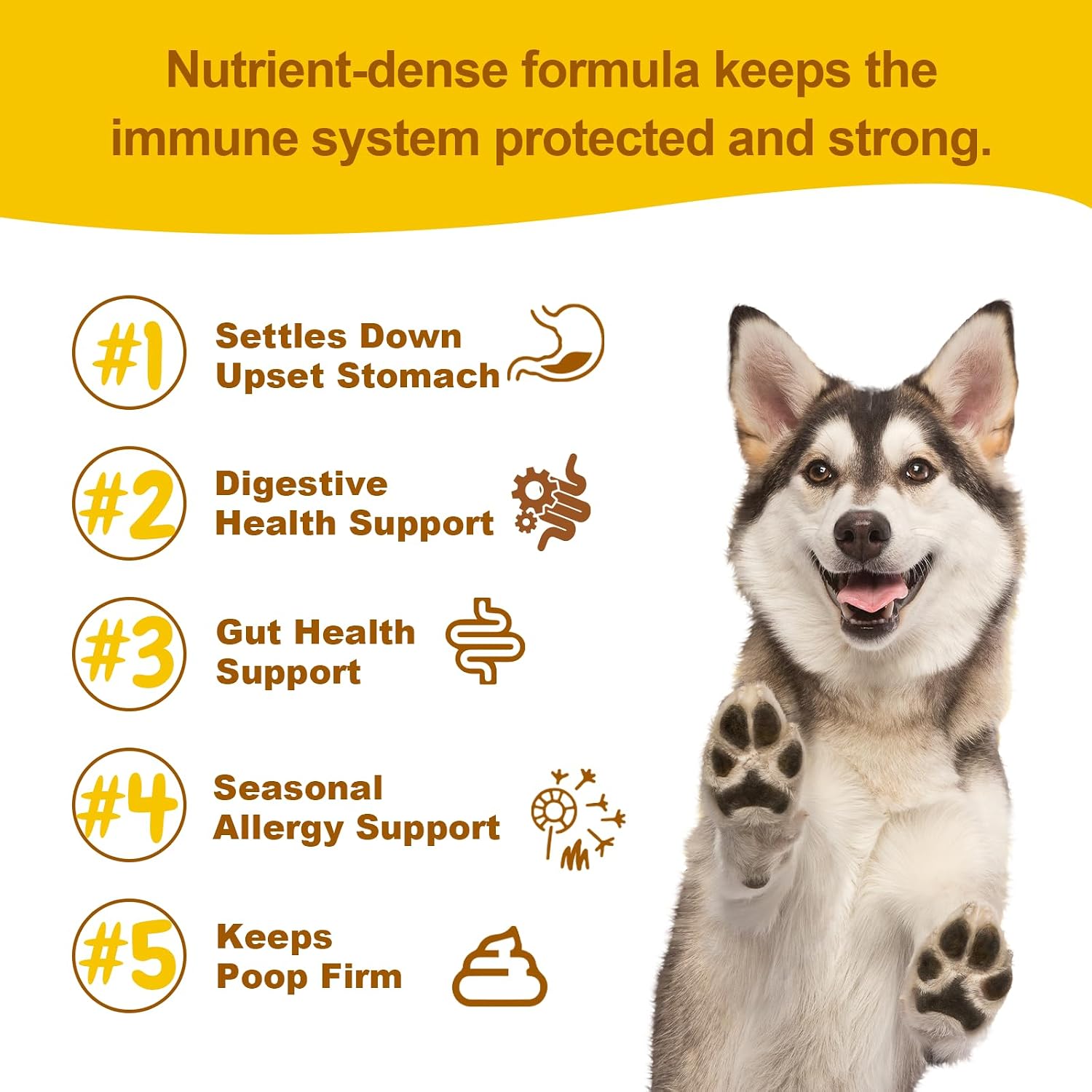 Probióticos Vet Strength para Perros - Alivio Digestivo e Inmunitario - Sabor Calabaza, 90 Masticables