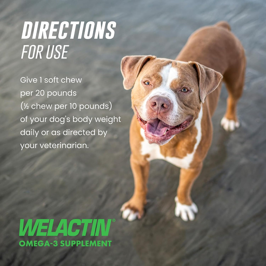 Nutramax Welactin Omega 3 para Perros - Suplemento de Aceite de Pescado con EPA y DHA - 60 Comprimidos Blandos