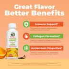 MaryRuth's Vitamina C Liposomal Líquida - Megadosis 500 mg