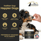 K9-Innovations - Daily Skin & Coat Dog Chews Salmon Flavor - Reduce Itching & Paw Chewing, Omega 3 & VIT C for Skin Health - 1-4 Month Supply (120qty)