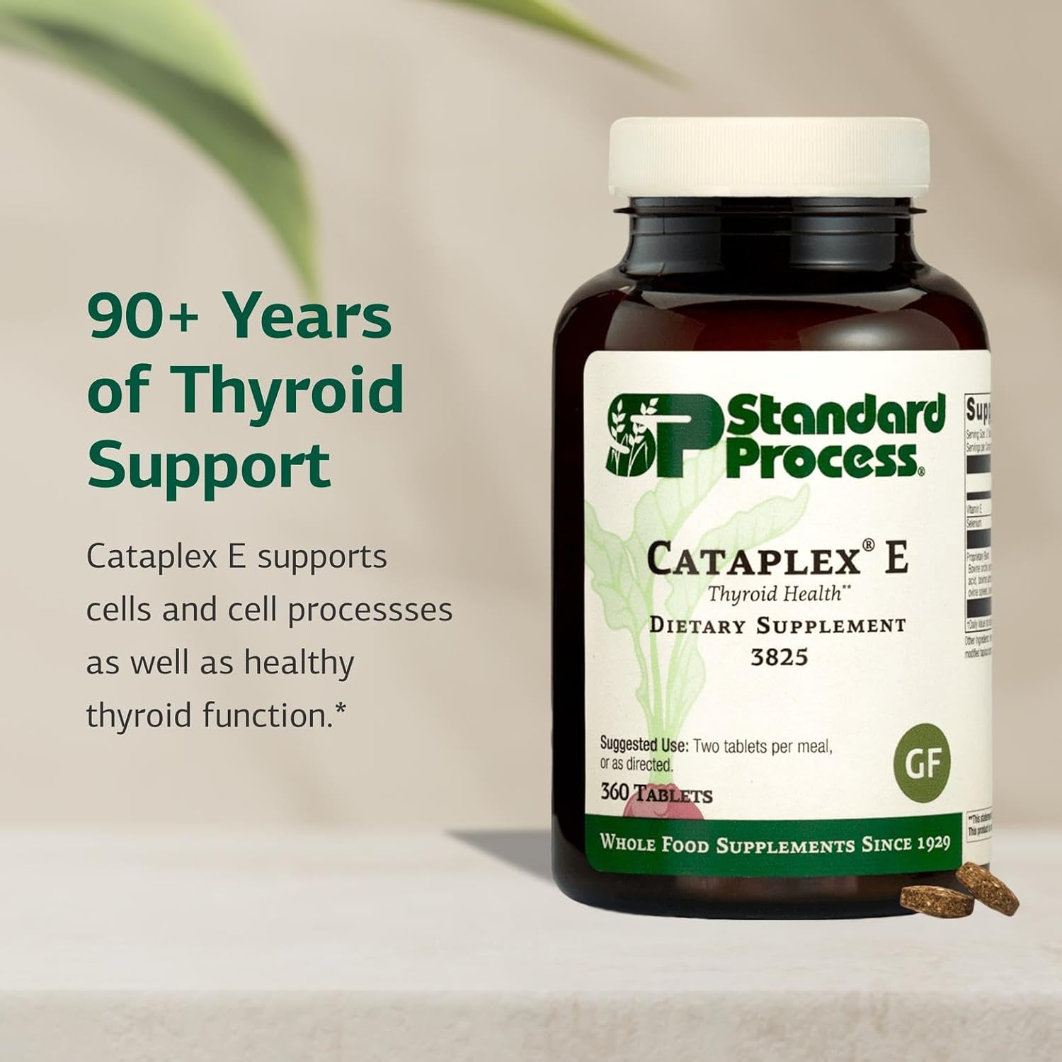 Standard Process Cataplex E - Suplemento alimenticio para la salud de la tiroides - Sin gluten, sin lácteos, sin soja - Apoyo para la función endocrina - 360 comprimidos