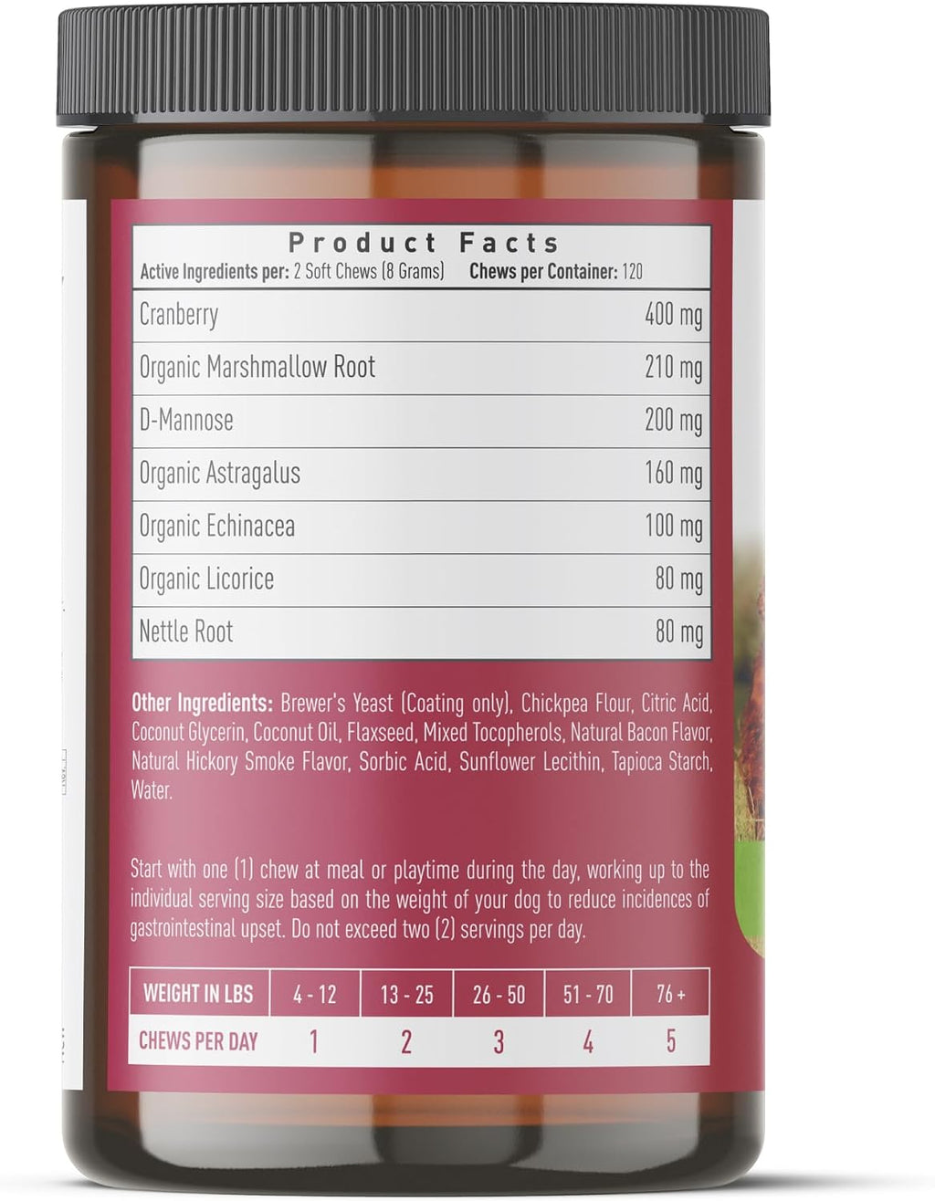 Strawfield Pets Cranberry Bladder & UTI Chews para Perros con D-Mannosa + Vitamina C - Snacks Blandos Sabor Bacon (120 unidades)