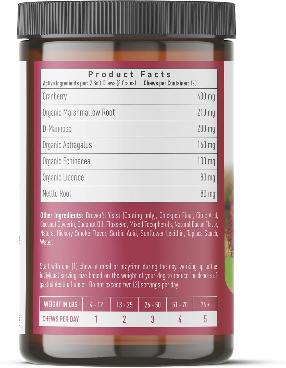 Strawfield Pets Cranberry Bladder & UTI Chews para Perros con D-Mannosa + Vitamina C - Snacks Blandos Sabor Bacon (120 unidades)