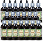 Shankhpushpi (Convolvulus Pluricaulis) Dried Whole Herb Alcohol-Free Liquid Extract - 20x4 oz