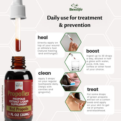 Beelife Red Bee Propolis Extract - Extracto Puro de Propóleo Rojo (30 ml) – Image 4