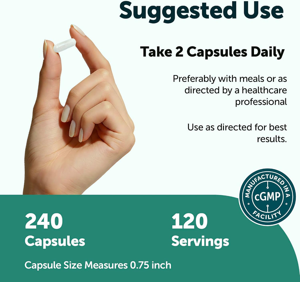 Micro Ingredients L-Tirosina 1000 mg, 240 Cápsulas | Suplemento de Aminoácidos No Transgénico