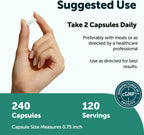 Micro Ingredients L-Tirosina 1000 mg, 240 Cápsulas | Suplemento de Aminoácidos No Transgénico