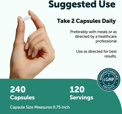 Micro Ingredients L-Tirosina 1000 mg, 240 Cápsulas | Suplemento de Aminoácidos No Transgénico – Image 3