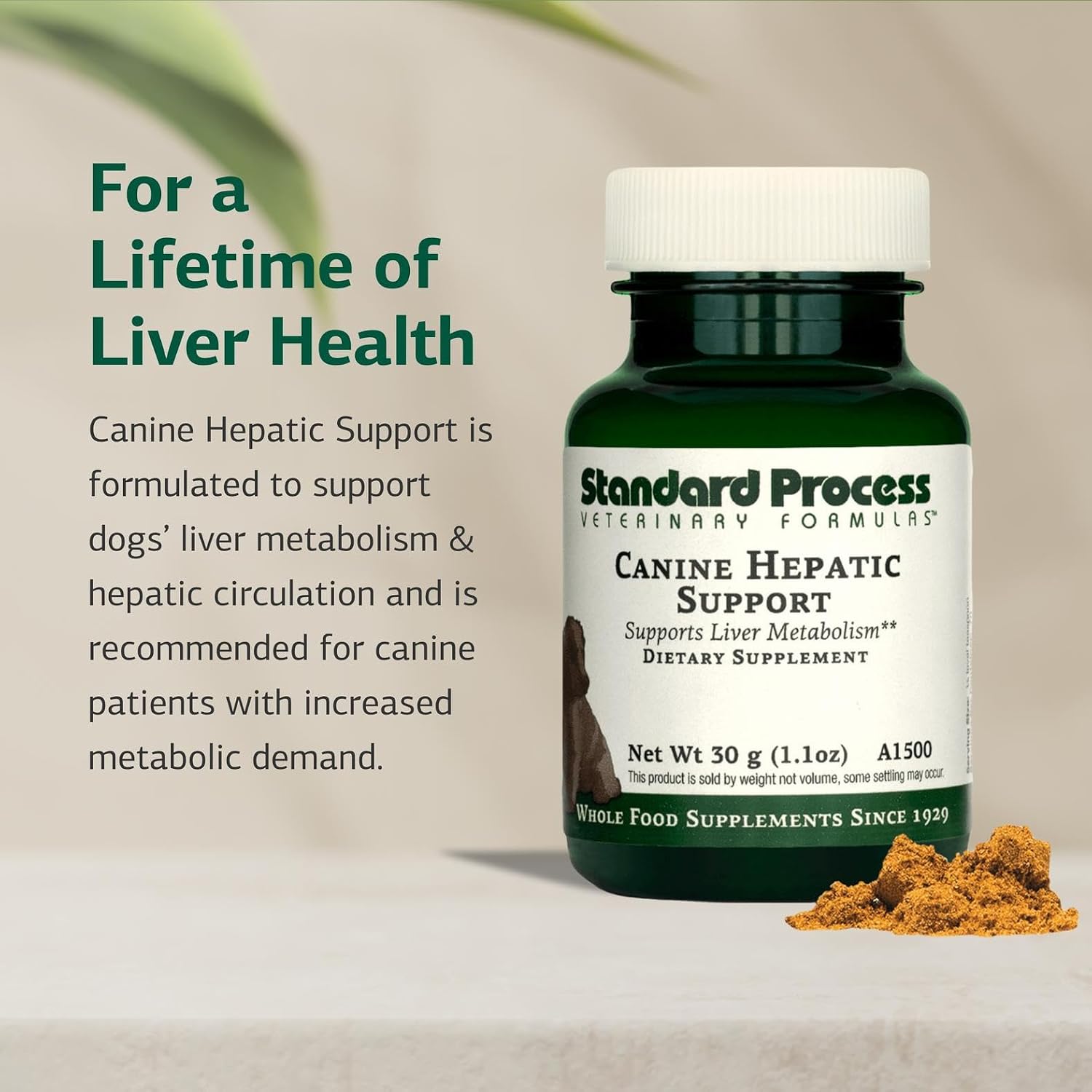 Standard Process Canine Hepatic Support - Suplemento hepático para perros en polvo 30 g