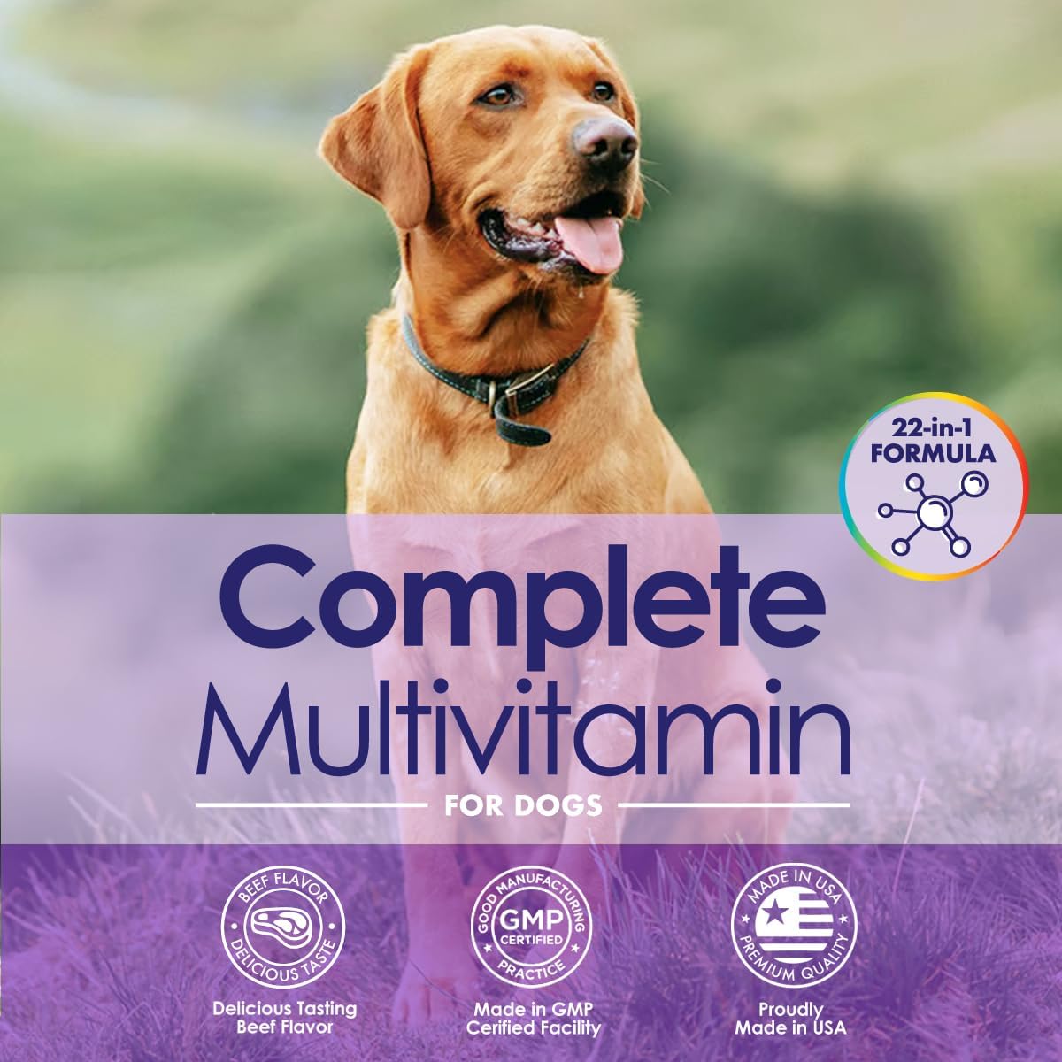 Multivitamínico Masticable para Perros 22 en 1 - Con Mejillón de Labios Verdes y Omega-3 - 60 Masticables Sabor Ternera
